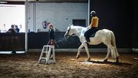 Sportkamp Paardrijden - Sport Vlaanderen